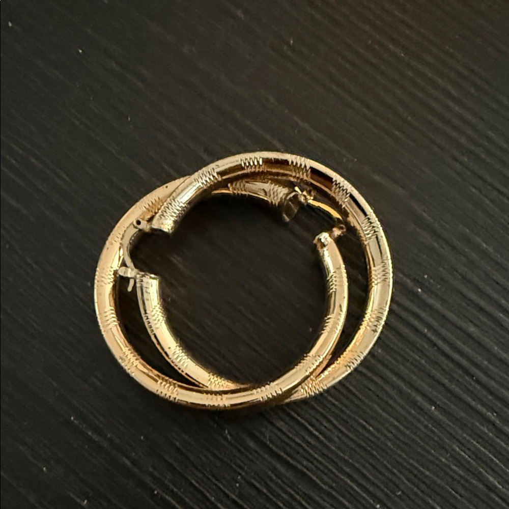 Elegant Gold Hoop Earrings